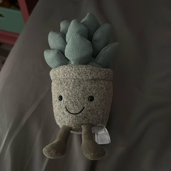 : : Silly Succulent Azulita